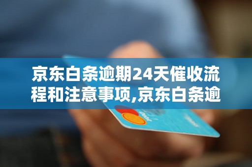 京东白条逾期24天催收流程和注意事项,京东白条逾期24天催收案例分享