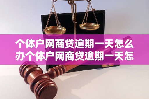 个体户网商贷逾期一天怎么办个体户网商贷逾期一天怎么办？