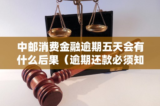 中邮消费金融逾期五天会有什么后果（逾期还款必须知道的事项）