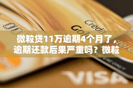 微粒贷11万逾期4个月了，逾期还款后果严重吗？微粒贷逾期4个月如何解决？