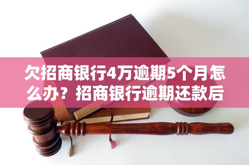 欠招商银行4万逾期5个月怎么办？招商银行逾期还款后果及处理方法