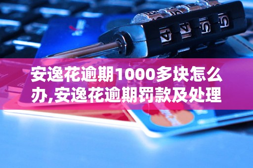 安逸花逾期1000多块怎么办,安逸花逾期罚款及处理方法