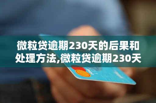 微粒贷逾期230天的后果和处理方法,微粒贷逾期230天会被追究什么责任