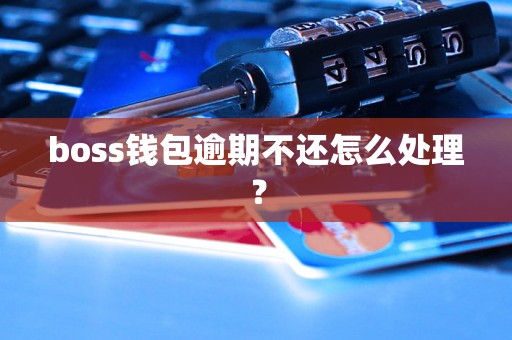 boss钱包逾期不还怎么处理？