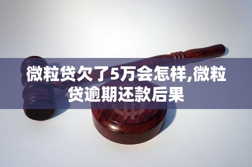 微粒贷欠了5万会怎样,微粒贷逾期还款后果