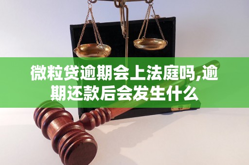 微粒贷逾期会上法庭吗,逾期还款后会发生什么