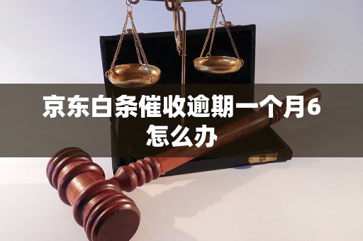 京东白条催收逾期一个月6怎么办