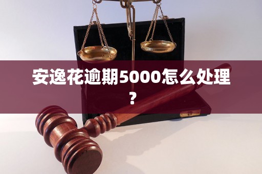 安逸花逾期5000怎么处理？