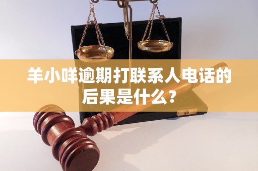 羊小咩逾期打联系人电话的后果是什么？