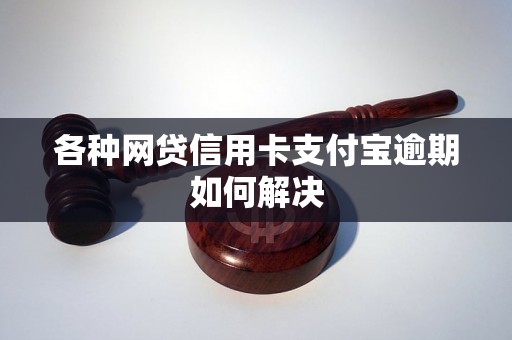 各种网贷信用卡支付宝逾期如何解决