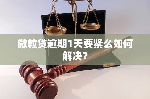 微粒贷逾期1天要紧么如何解决？