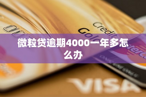 微粒贷逾期4000一年多怎么办