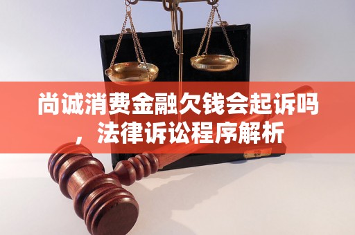 尚诚消费金融欠钱会起诉吗，法律诉讼程序解析