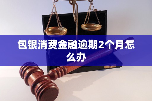 包银消费金融逾期2个月怎么办