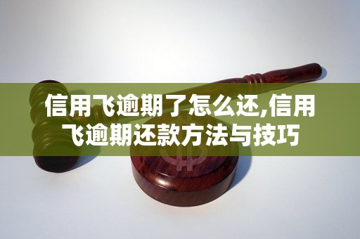 信用飞逾期了怎么还,信用飞逾期还款方法与技巧