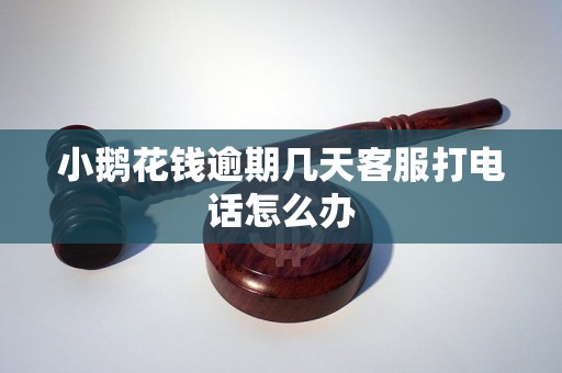 小鹅花钱逾期几天客服打电话怎么办