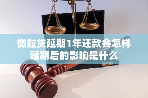 微粒贷延期1年还款会怎样延期后的影响是什么