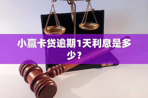 小赢卡贷逾期1天利息是多少？