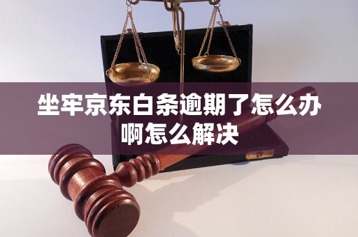 坐牢京东白条逾期了怎么办啊怎么解决