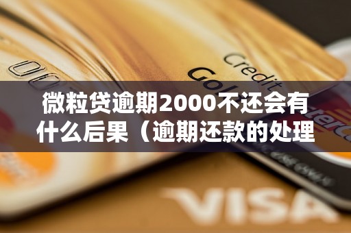 微粒贷逾期2000不还会有什么后果（逾期还款的处理措施）