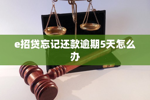 e招贷忘记还款逾期5天怎么办