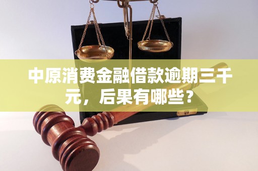 中原消费金融借款逾期三千元，后果有哪些？