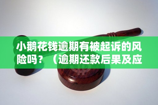 小鹅花钱逾期有被起诉的风险吗？（逾期还款后果及应对措施）