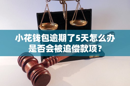 小花钱包逾期了5天怎么办是否会被追偿款项？