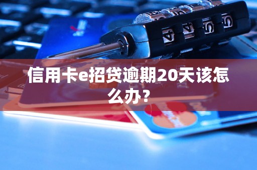 信用卡e招贷逾期20天该怎么办？