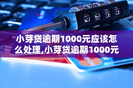 小芽贷逾期1000元应该怎么处理,小芽贷逾期1000元后果严重吗