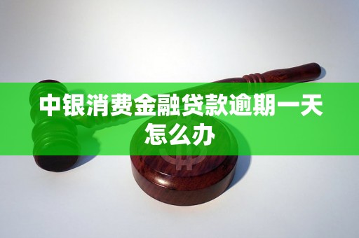 中银消费金融贷款逾期一天怎么办