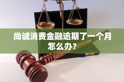 尚诚消费金融逾期了一个月怎么办？