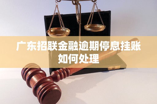 广东招联金融逾期停息挂账如何处理