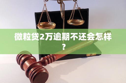 微粒贷2万逾期不还会怎样？