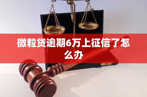 微粒贷逾期6万上征信了怎么办