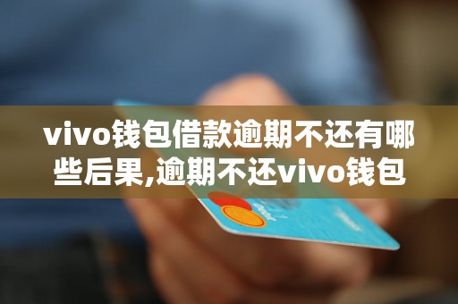 vivo钱包借款逾期不还有哪些后果,逾期不还vivo钱包借款会怎样