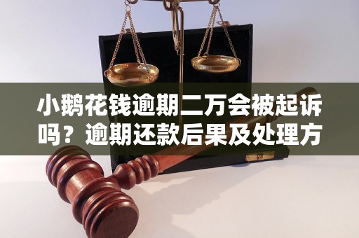 小鹅花钱逾期二万会被起诉吗？逾期还款后果及处理方式