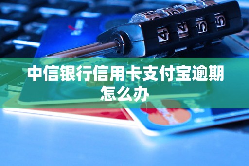 中信银行信用卡支付宝逾期怎么办