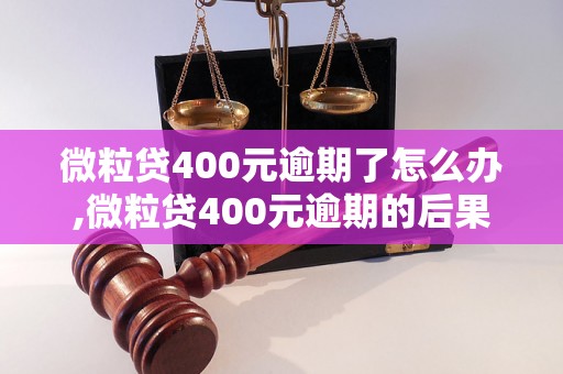 微粒贷400元逾期了怎么办,微粒贷400元逾期的后果