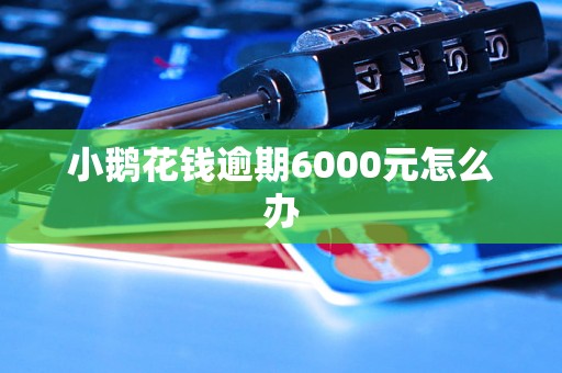 小鹅花钱逾期6000元怎么办