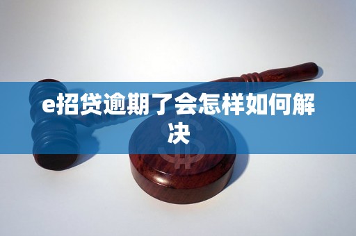 e招贷逾期了会怎样如何解决