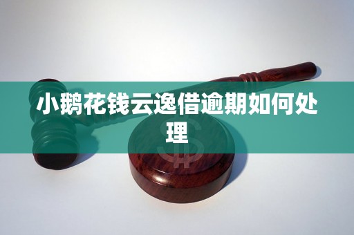 小鹅花钱云逸借逾期如何处理