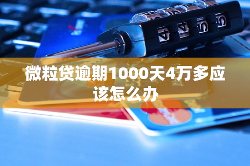 微粒贷逾期1000天4万多应该怎么办