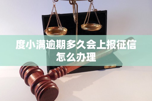 度小满逾期多久会上报征信怎么办理