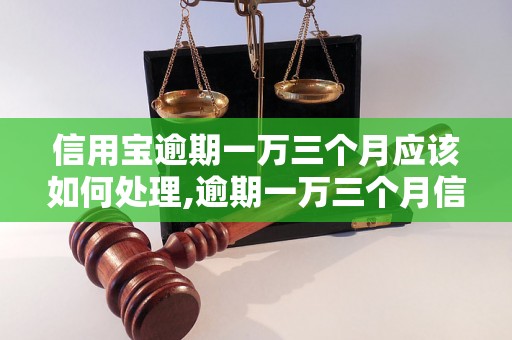 信用宝逾期一万三个月应该如何处理,逾期一万三个月信用宝后果严重吗