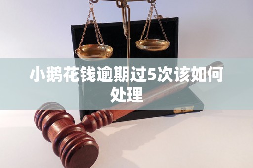 小鹅花钱逾期过5次该如何处理