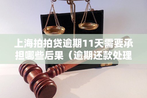 上海拍拍贷逾期11天需要承担哪些后果（逾期还款处理方法详解）