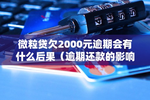 微粒贷欠2000元逾期会有什么后果（逾期还款的影响及处理方法）