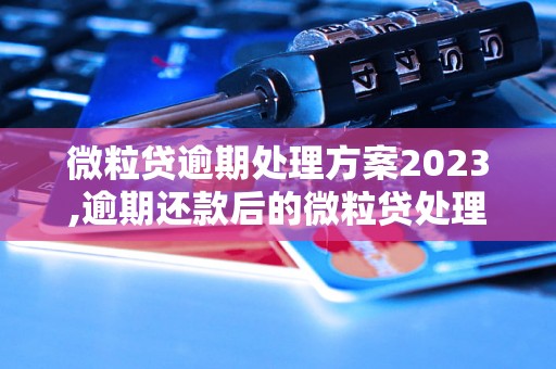 微粒贷逾期处理方案2023,逾期还款后的微粒贷处理方式