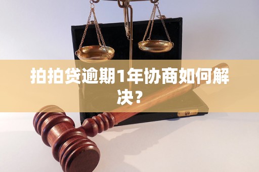 拍拍贷逾期1年协商如何解决？